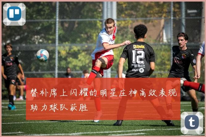替补席上闪耀的明星庄神高效表现助力球队获胜